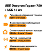 ИБП для котла Энергия Гарант 750 + Аккумулятор 55 Ач 12 В (450Вт - 67мин) - ИБП и АКБ - ИБП для котлов - . Магазин оборудования для автономного и резервного электропитания Ekosolar.ru в Белгороде