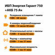 ИБП для котла Энергия Гарант 750 + Аккумулятор 75 Ач 12 В (450Вт - 91мин) - ИБП и АКБ - ИБП для котлов - . Магазин оборудования для автономного и резервного электропитания Ekosolar.ru в Белгороде